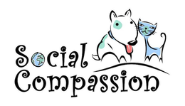 SOCIAL COMPASSION trademark