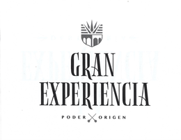 GRAN EXPERIENCIA PODER ORIGEN trademark