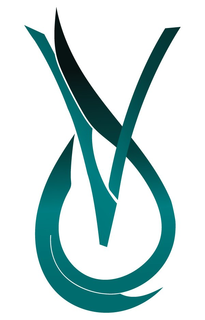 VJ trademark