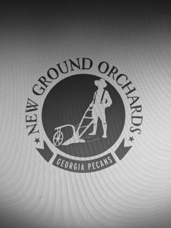 NEW GROUND ORCHARDS GEORGIA PECANS trademark