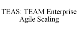 TEAS: TEAM ENTERPRISE AGILE SCALING trademark