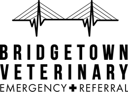 BRIDGETOWN VETERINARY EMERGENCY + REFERRAL trademark