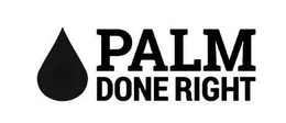 PALM DONE RIGHT trademark