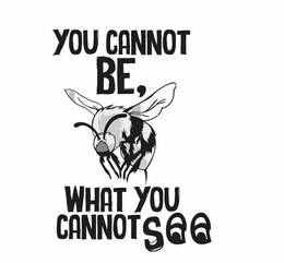 YOU CANNOT BE, WHAT YOU CANNOT SEE trademark