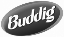 BUDDIG trademark