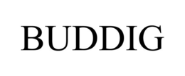 BUDDIG trademark