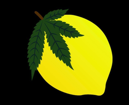 LogoMark trademark