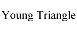 YOUNG TRIANGLE trademark