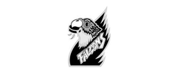 FALCONS trademark