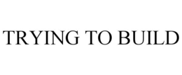 TRYING TO BUILD trademark