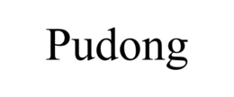PUDONG trademark