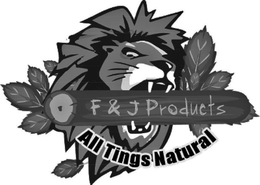 F & J PRODUCTS ALL TINGS NATURAL trademark