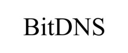 BITDNS trademark