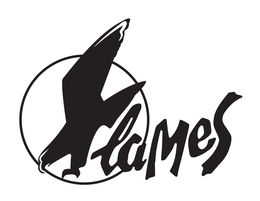 FLAMES trademark