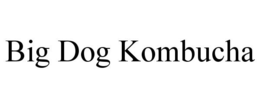 BIG DOG KOMBUCHA trademark