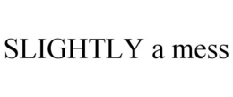 SLIGHTLY A MESS trademark