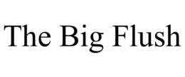 THE BIG FLUSH trademark