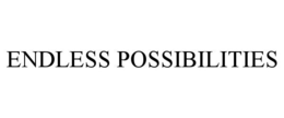ENDLESS POSSIBILITIES trademark