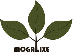 MOGALIXE trademark