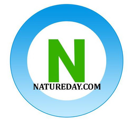 N NATUREDAY.COM trademark