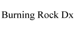 BURNING ROCK DX trademark