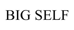 BIG SELF trademark