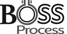BOSS PROCESS trademark