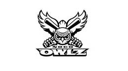 NOCO OWLZ trademark