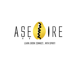ASE IRE LEARN.GROW.CONNECT... WITH SPIRIT! trademark