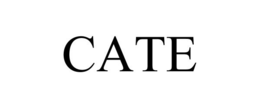 CATE trademark