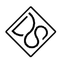 DS trademark