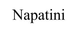 NAPATINI trademark