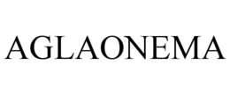 AGLAONEMA trademark