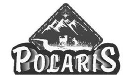 POLARIS trademark