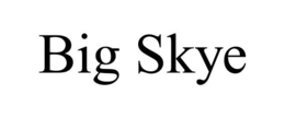 BIG SKYE trademark