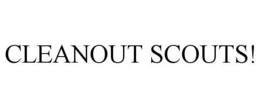 CLEANOUT SCOUTS! trademark