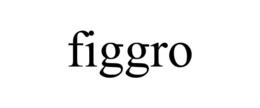 FIGGRO trademark