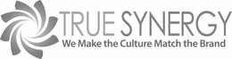 TRUE SYNERGY WE MAKE THE CULTURE MATCH THE BRAND trademark