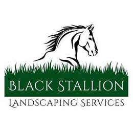BLACK STALLION LANDSCAPING SERVICES trademark