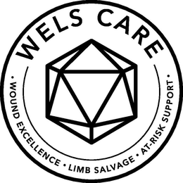 WELS CARE · WOUND EXCELLENCE · LIMB SALVAGE · AT-RISK SUPPORT · trademark