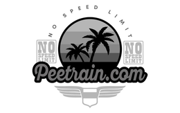 NO SPEED LIMIT PEETRAIN.COM NO SPEED LIMIT NO SPEED LIMIT trademark