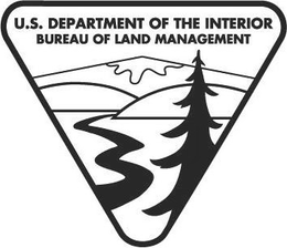 U.S. DEPARTMENT OF THE INTERIOR BUREAU OF LAND MANAGEMENT trademark