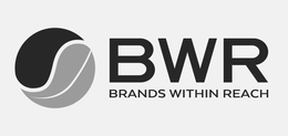 BWR BRANDS WITHIN REACH trademark