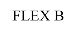 FLEX B trademark