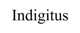 INDIGITUS trademark