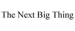 THE NEXT BIG THING trademark