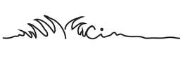 CIN trademark