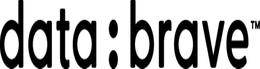 DATA:BRAVE trademark