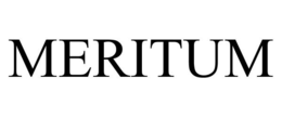 MERITUM trademark
