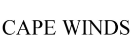 CAPE WINDS trademark